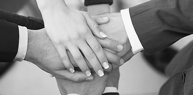 Together we shall build up your projects